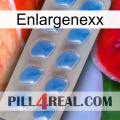 Enlargenexx 22